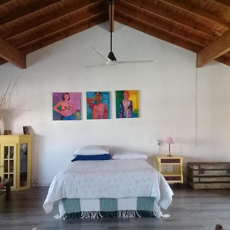La Casa De Los Murales Avellaneda  Exteriör bild